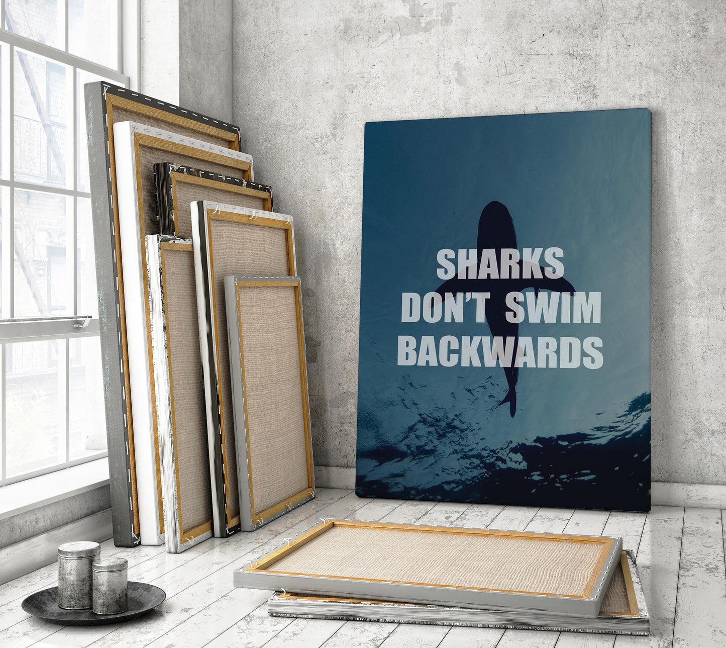 Sharks Don't Swim Backwards