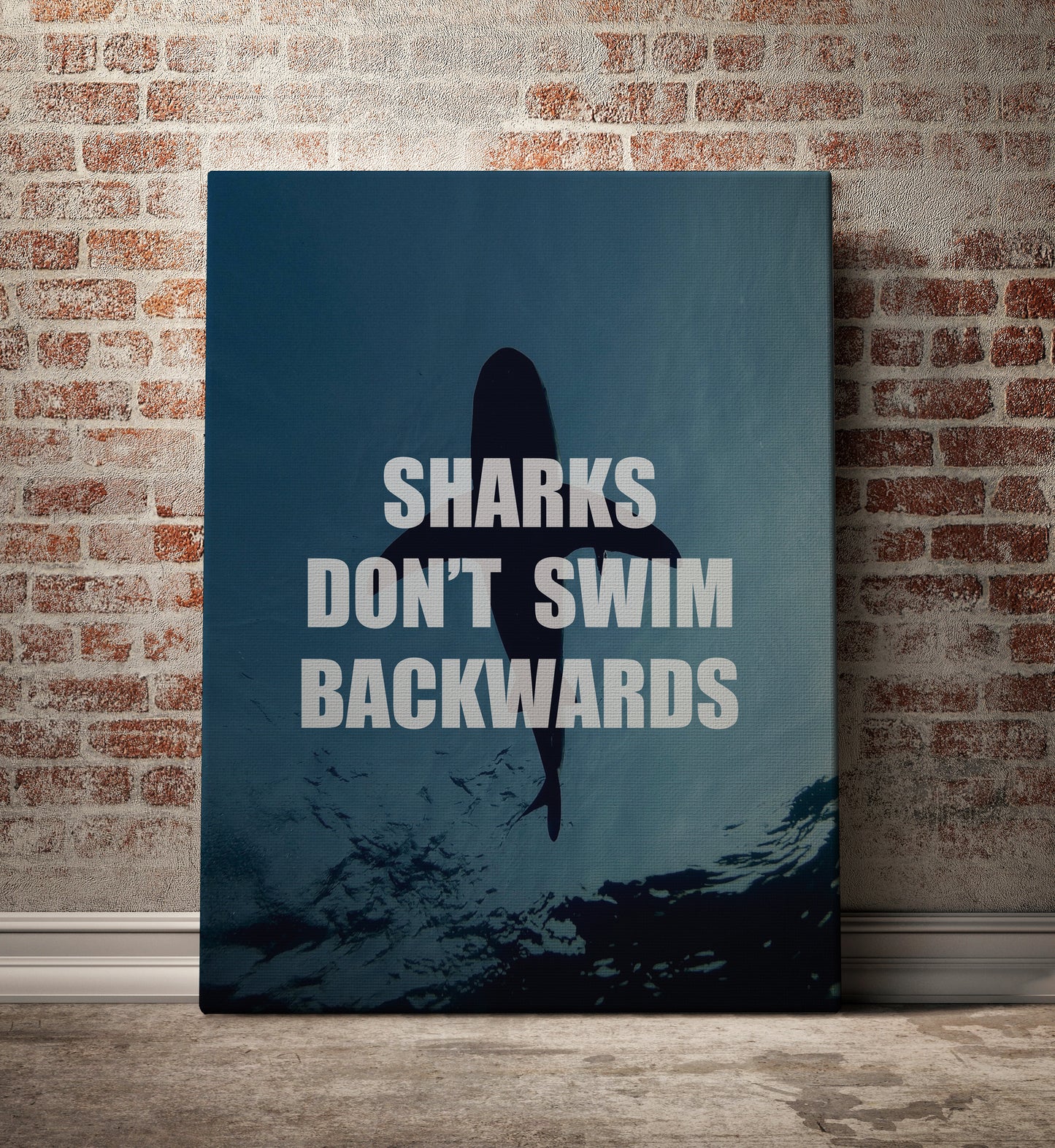 Sharks Don't Swim Backwards