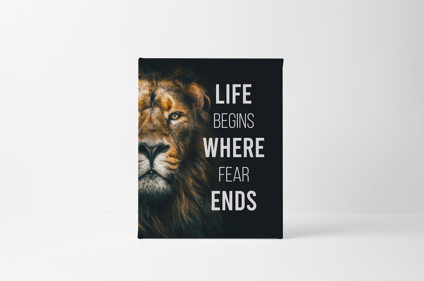 Life Begins Where Fear Ends