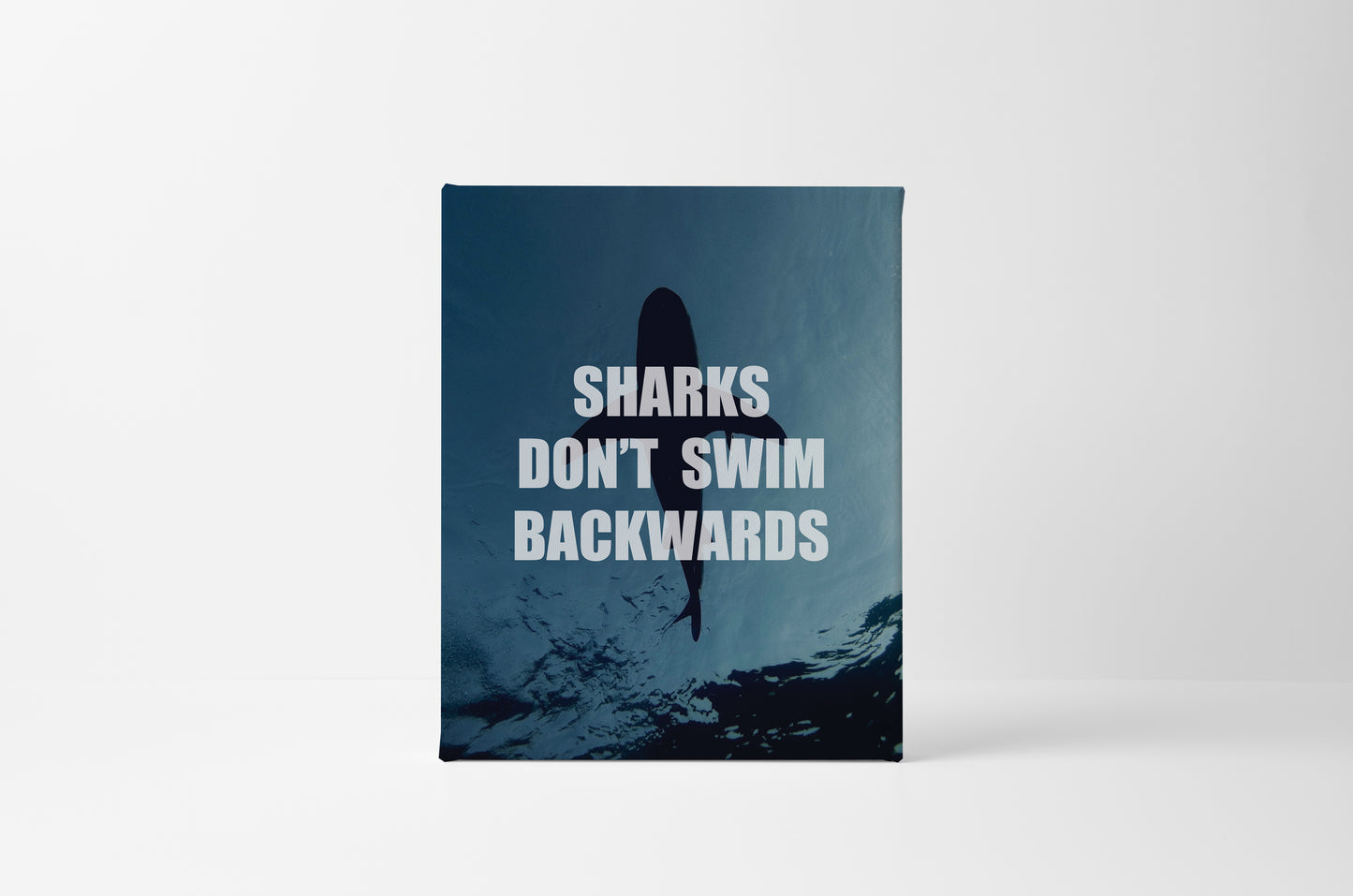 Sharks Don't Swim Backwards